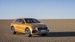 Audi Q8 50 TDI Quattro S-Line 2018 года (WW)